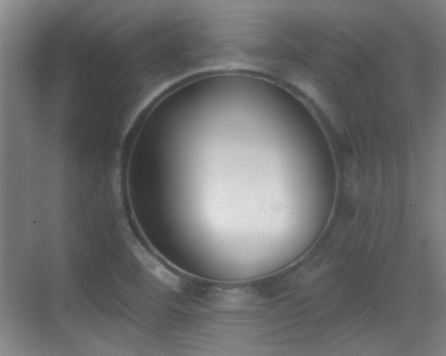 X0000069811460200605221151