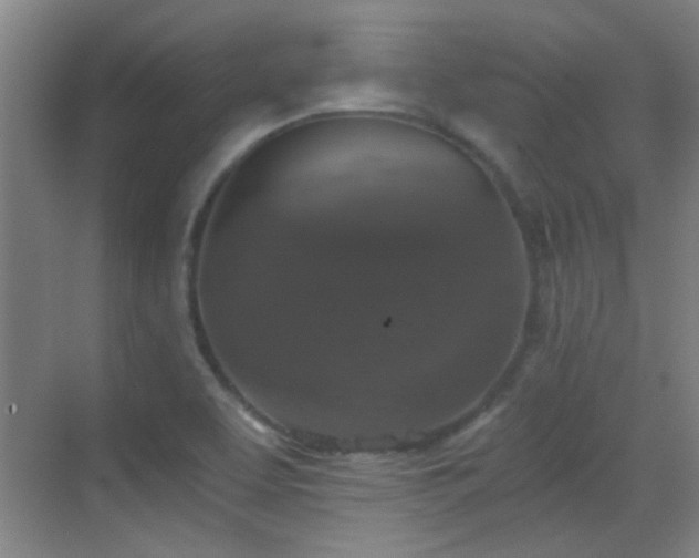 X0000069811463200605221151