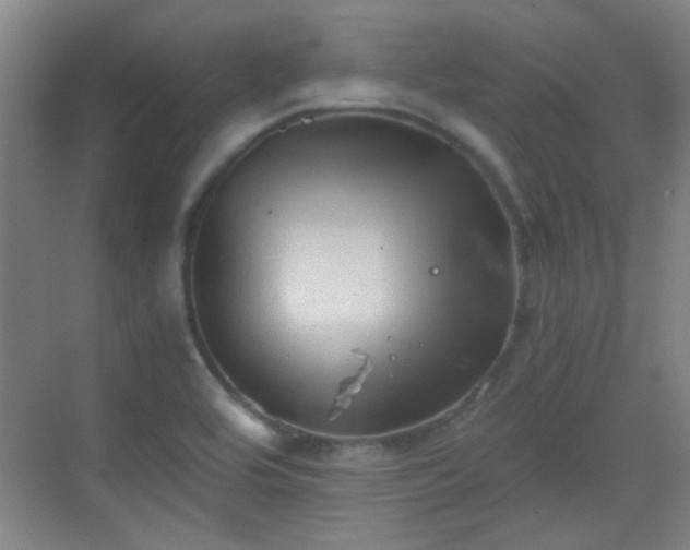 X0000069811464200605221151