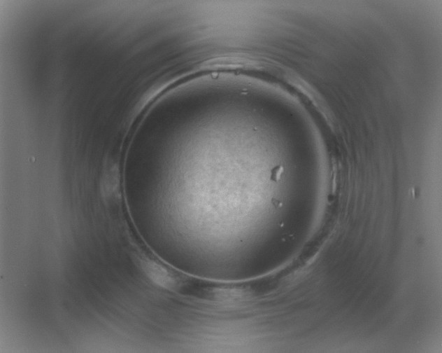 X0000069811465200605221151