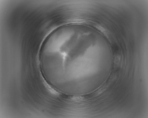 X0000069811466200605221151