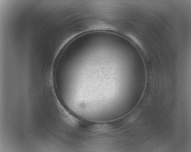 X0000069811468200605221151