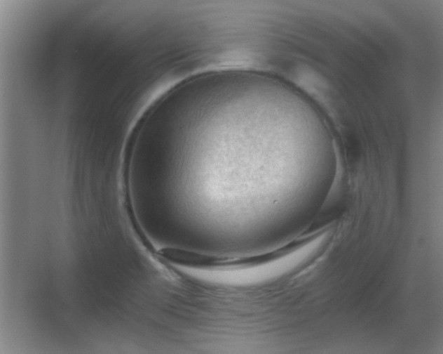 X0000069811469200605221151