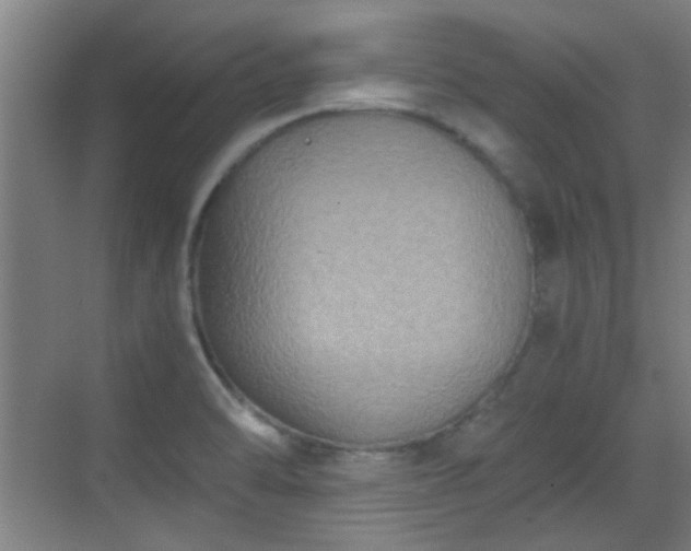 X0000069811470200605221151