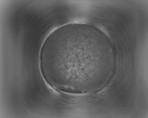 X0000069811471200605221151