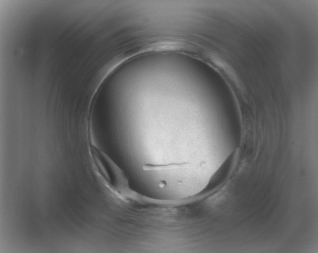 X0000069811473200605221151