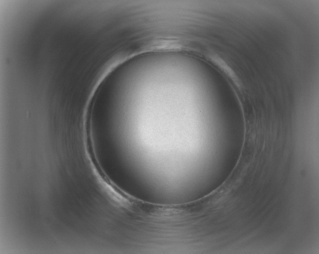 X0000069811475200605221151