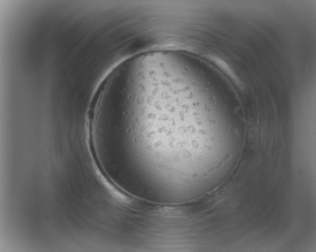 X0000069811476200605221151