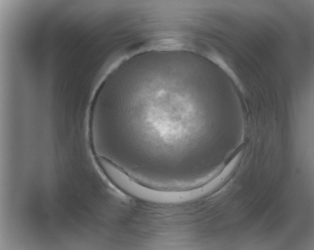 X0000069811477200605221151