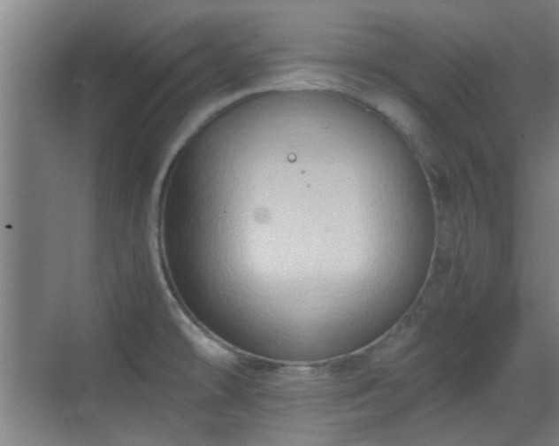 X0000069811478200605221151