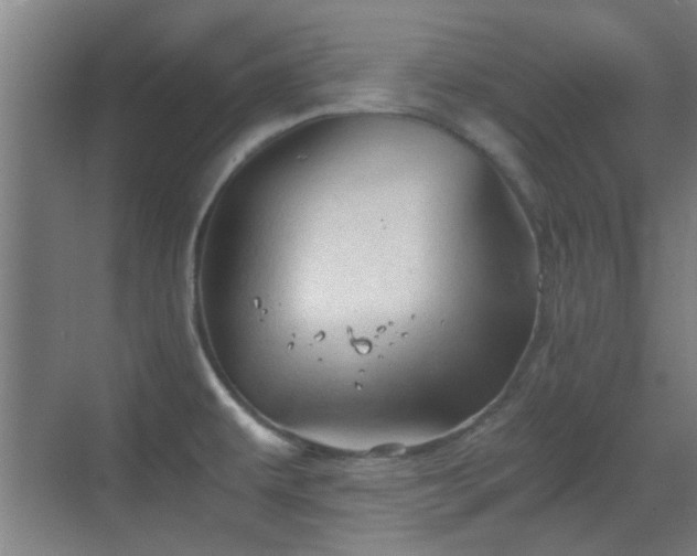 X0000069811479200605221151