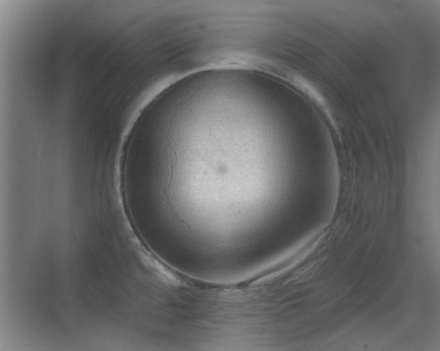 X0000069811480200605221151