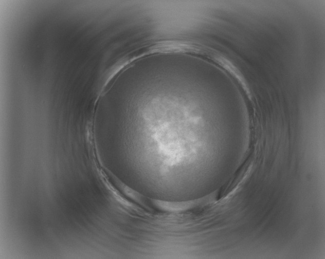 X0000069811481200605221151