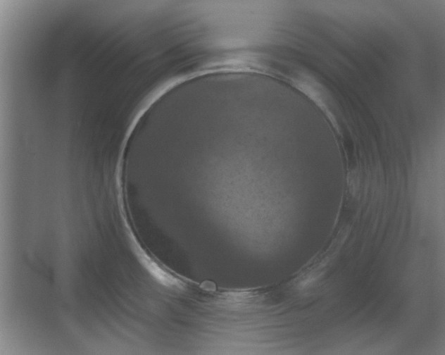 X0000069811482200605221151