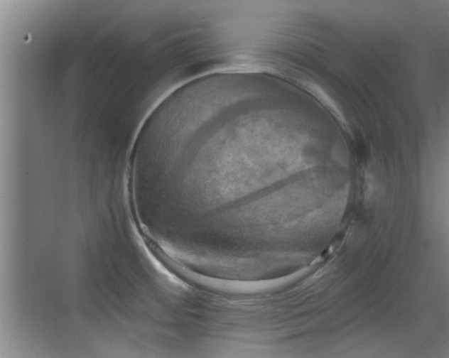 X0000069811484200605221151