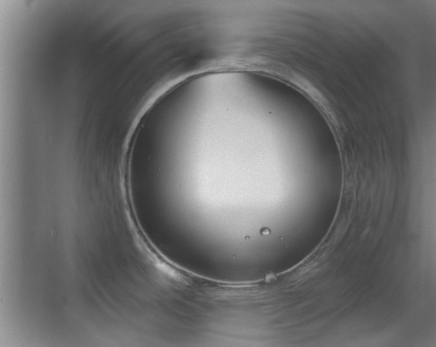 X0000069811486200605221151