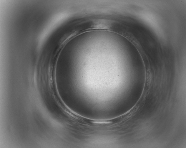 X0000069811487200605221151