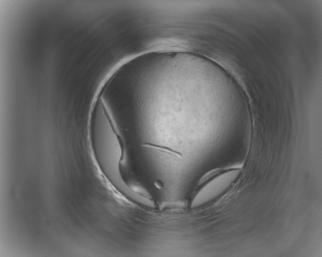 X0000069811488200605221151