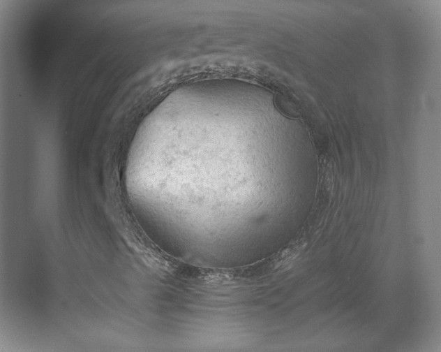 X0000069811489200605221150