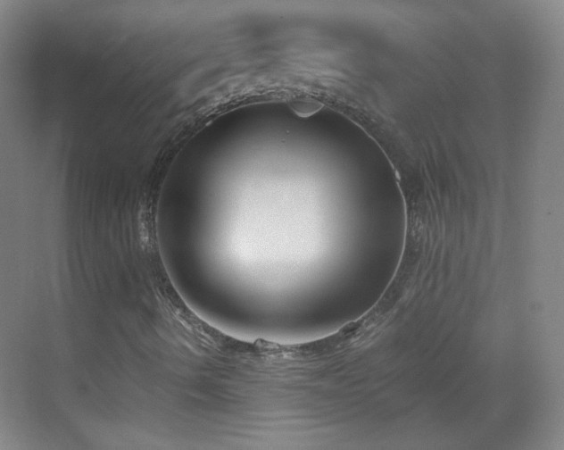 X0000069811490200605221150