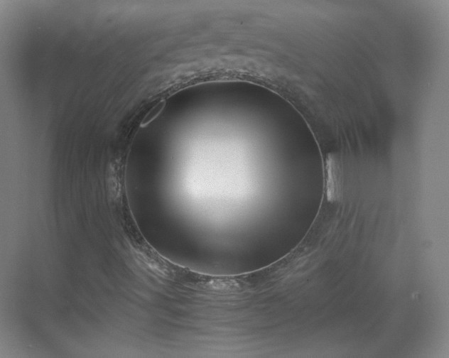 X0000069811491200605221150