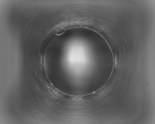 X0000069811492200605221150