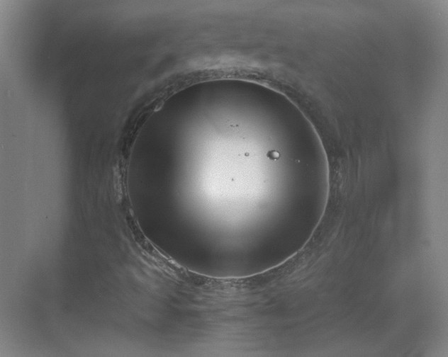 X0000069811493200605221150