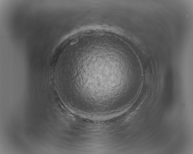 X0000069811494200605221150