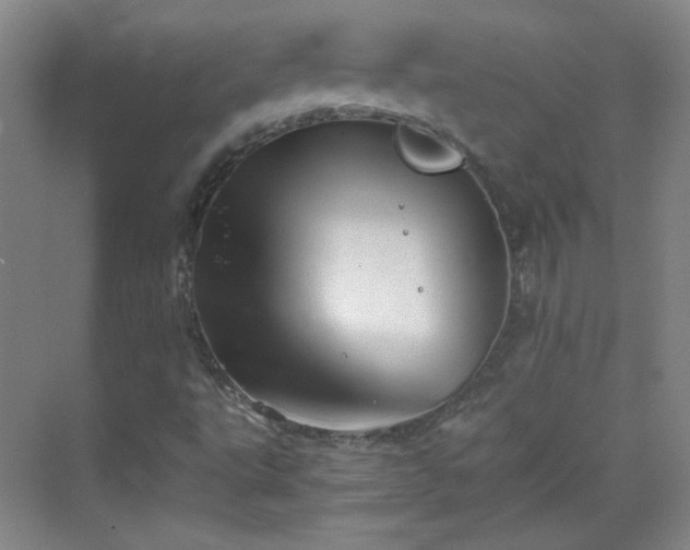 X0000069811495200605221150