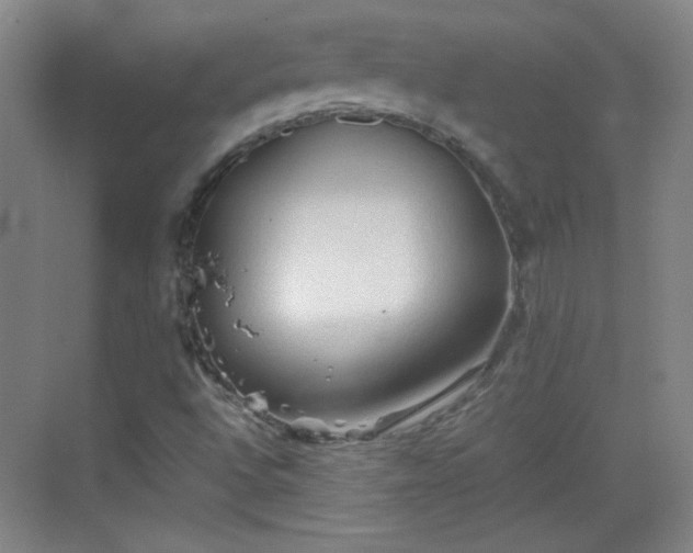 X0000069811496200605221150