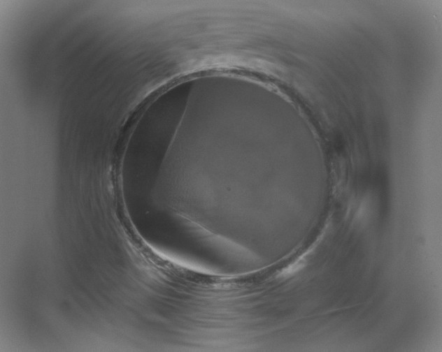 X0000069811497200605221150