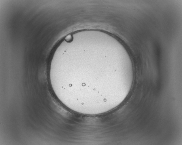 X0000069811498200605221150