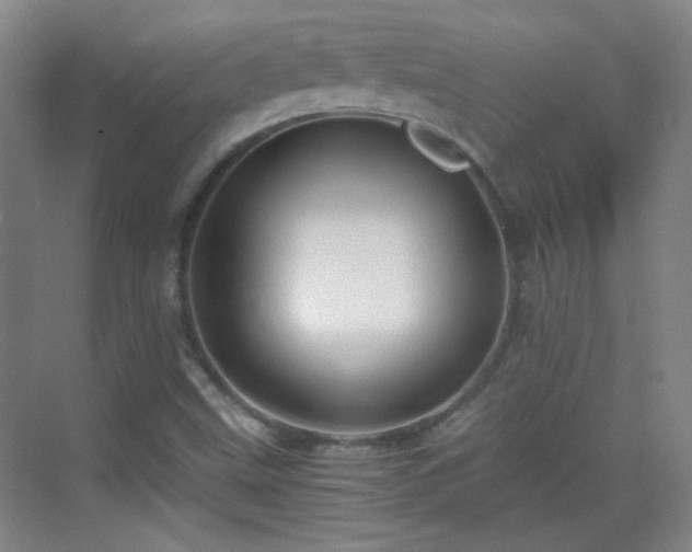 X0000069811499200605221150