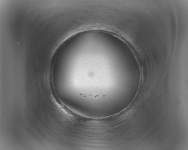 X0000069811500200605221150