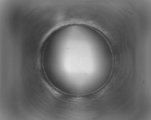 X0000069811502200605221150