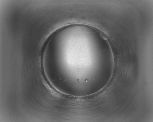 X0000069811503200605221150