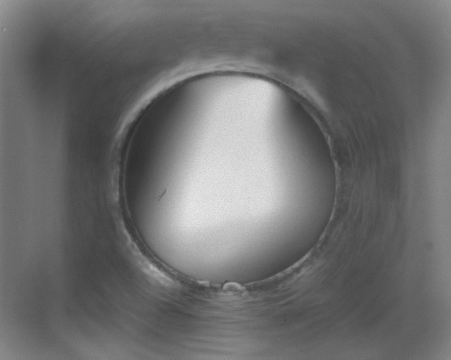 X0000069811504200605221150