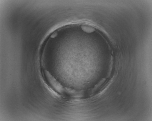 X0000069811506200605221150