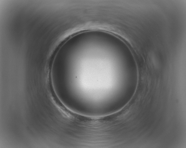 X0000069811507200605221151