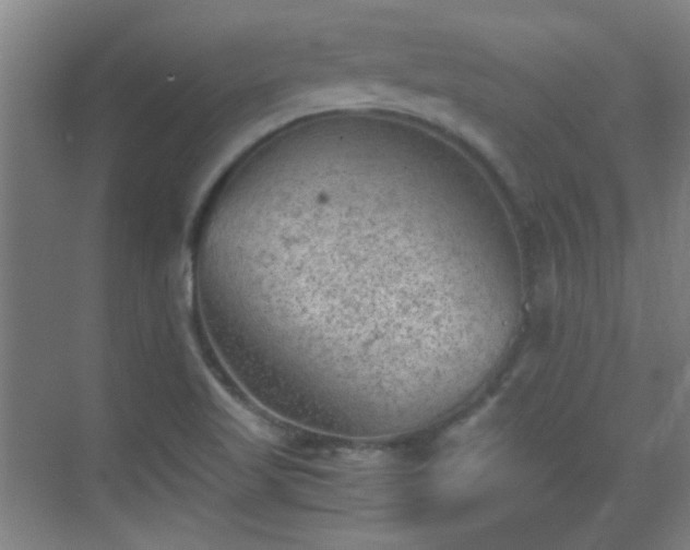 X0000069811509200605221151