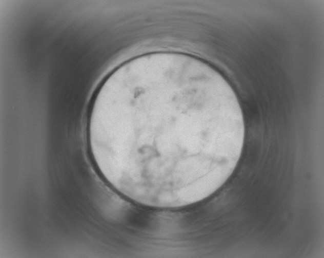 X0000069811514200605221151