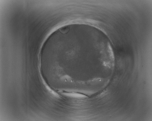 X0000069811515200605221151