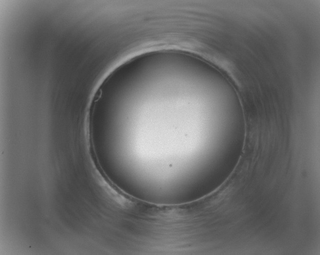 X0000069811516200605221151