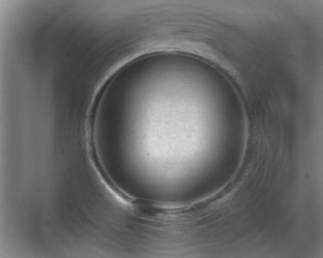 X0000069811517200605221151