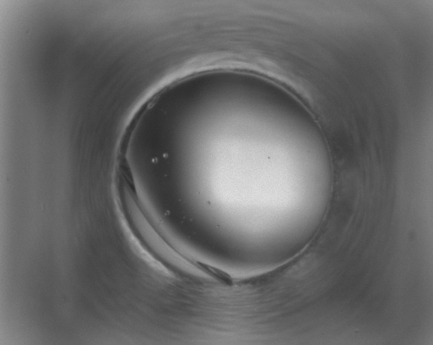 X0000069811518200605221151