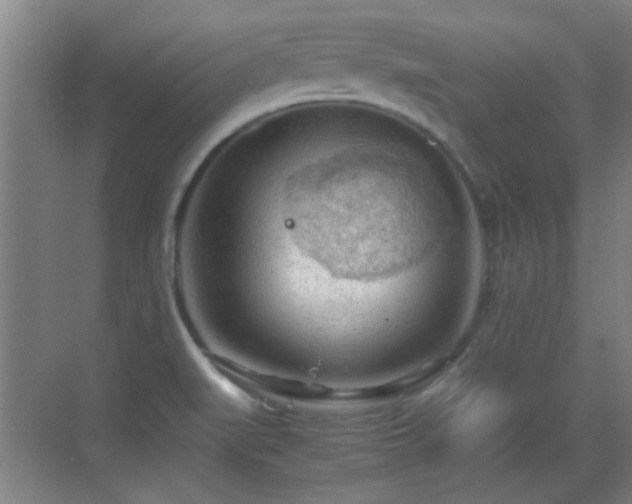 X0000069811519200605221151