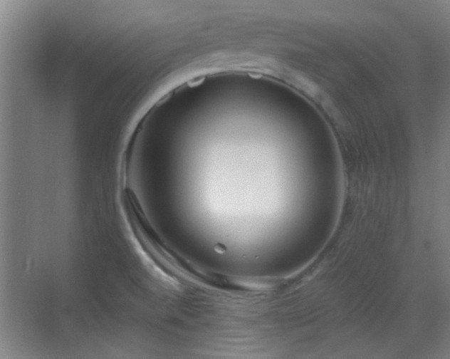 X0000069811520200605221151