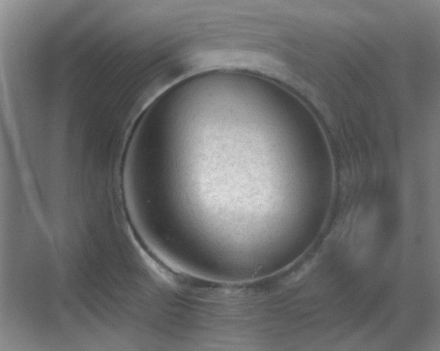 X0000069811521200605221151