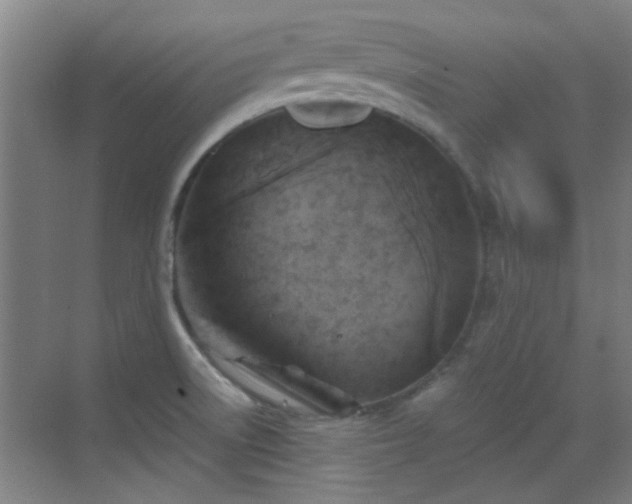 X0000069811522200605221151