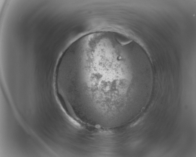 X0000069811525200605221151